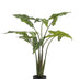 Artificial Plant Alocasia Frydek, 120 cm – Evergreen Elegance Bild 1