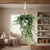 Hedera Wonder Green Efeu, Ø24cm Topf, ↕70cm Höhe Bild 3