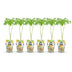 GreenboutiQ - Obstpflanzen - Himbeere - Rubus idaeus Fallgold - Winterhart - 6 Pflanzen - Topf 9 cm - Gelbe Himbeere Bild 2