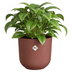 Elho Jazz Rund Blumentopf Tuscanrot - D23 x H21 cm Bild 4