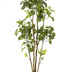 Kunstbaum Polyscias (Aralia) 160 cm Bild 1