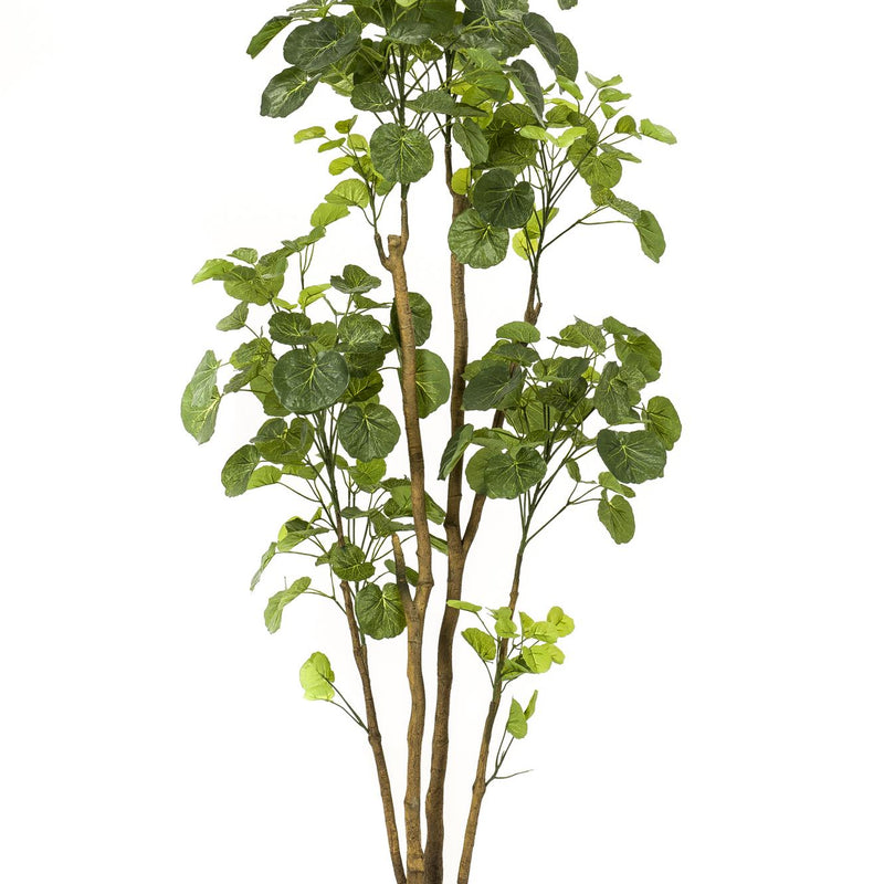 Kunstbaum Polyscias (Aralia) 160 cm
