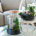 LOVE MOM Terrarium mit Licht - Muttertagsgeschenk DIY Flaschengarten Bild 3