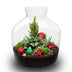 Holly Christmas terrarium - Bottle garden DIY kit - Ø 29 cm ↑ 30 Bild 2