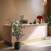 Artificial Eucalyptus Tree (Blue Gum) - 120 cm Bild 4
