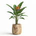 Pia Flower Pot M - Light Brown Wood - H25 W23 Bild 4