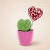 Lieblingspflanzen-Set: Herz-Pflanze mit Mini-Topf & Lolli Bild 2