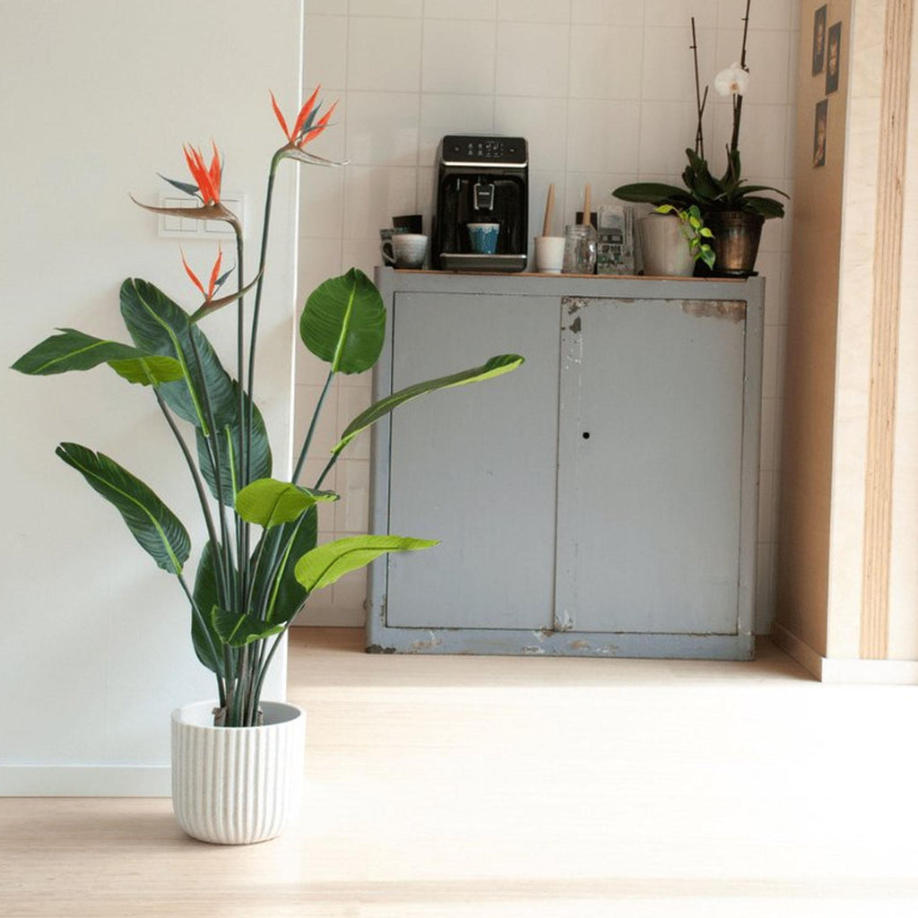 Strelitzia met bloemen - 120cm - In zwarte pot - Kunstplant