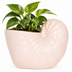 Kolibri Home Shellfish Übertopf – Sommerliches Flair für Dein Zuhause Bild 2