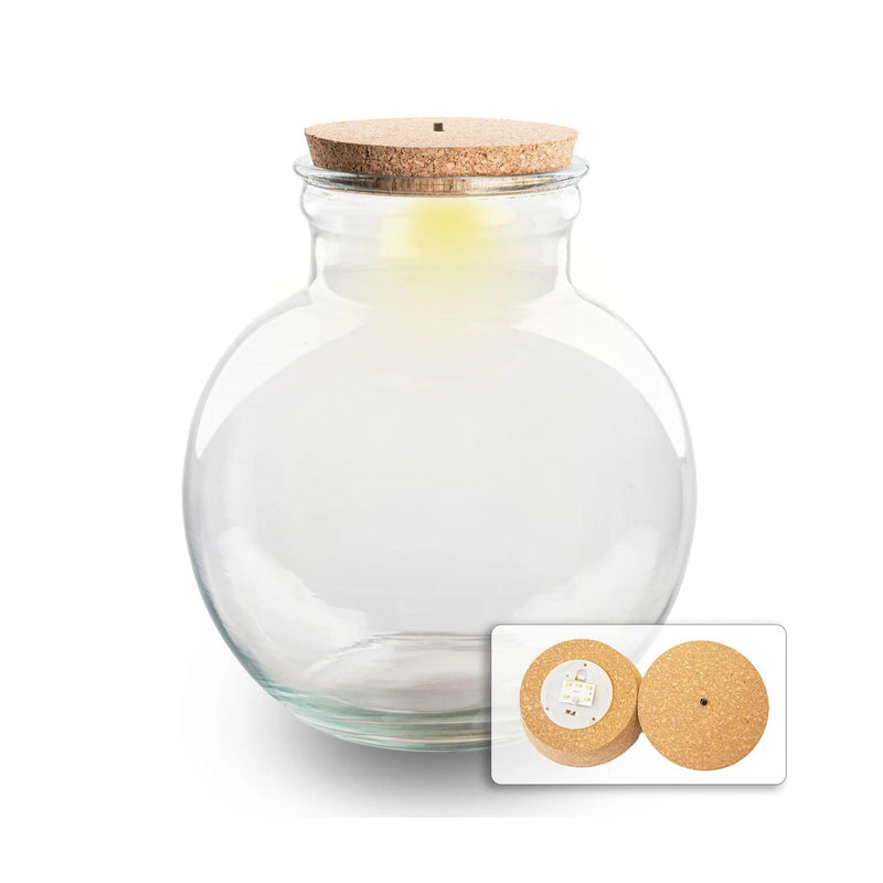 Terrarium Glasflasche mit LED-Beleuchtung - Teddy - Ø 25 cm