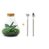 Bottle Garden DIY Set Sammie with Plants & Accessories, 26 cm Bild 1