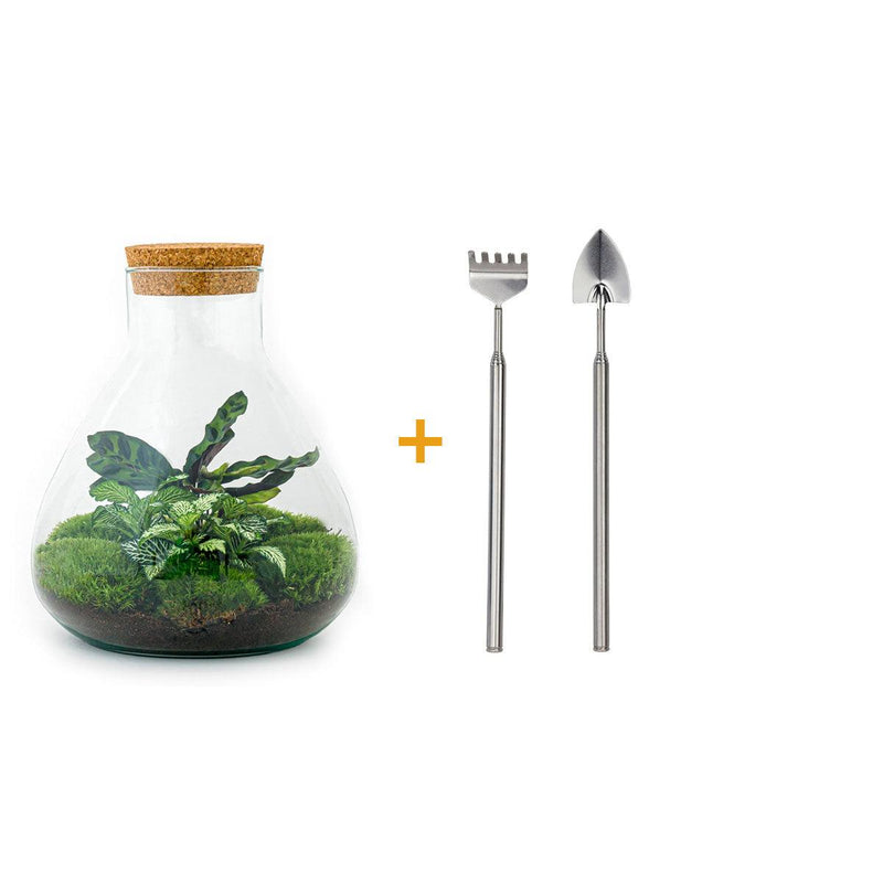Bottle Garden DIY Set Sammie with Plants & Accessories, 26 cm