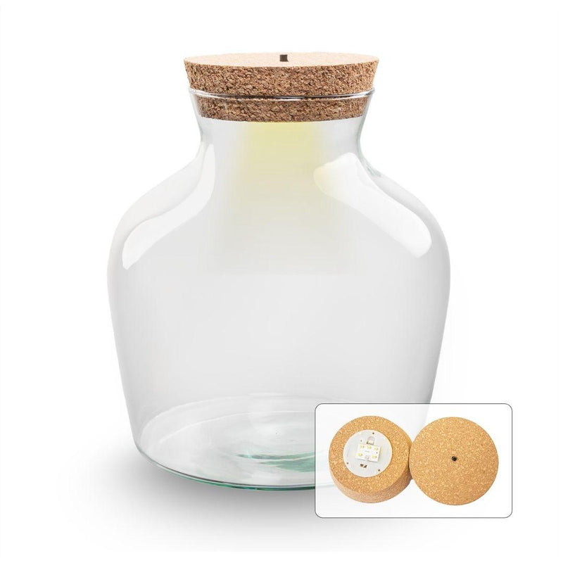 Terrarienflasche Little Joe m. LED-Beleuchtung Ø 20 cm