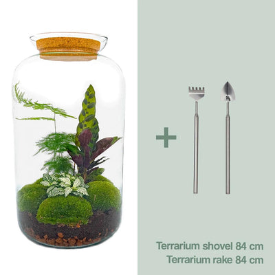 Flaschengarten Botanischer Sven XL DIY-Set 43 cm