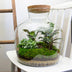 Flaschengarten DIY-Set: Fat Joe (30cm) mit Werkzeugen Bild 4