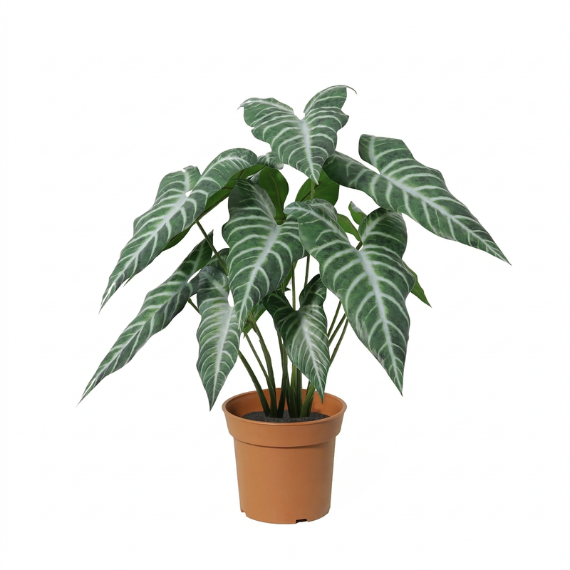 Künstliche Alocasia Polly - 49cm