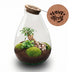 'LOVE MOM' terrarium Drop XL + gravierter Kork - Flaschengarten DIY Set – Ø 24 cm ↑ 37 cm -  Muttertag Bild 1