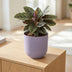 Elho Jazz Rund Lavendel Flieder Topf D23cm H21cm Bild 6