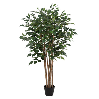Künstlicher Ficus Benjamina (150 cm) – Pflegeleicht & Immergrün