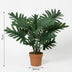 Artificial Philodendron Selloum 70cm - Tropical Flair Without the Fuss Bild 2
