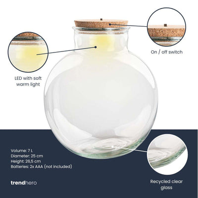 Terrarium Glasflasche mit LED-Beleuchtung - Teddy - Ø 25 cm
