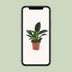 Philodendron Green Princess: Pflegeleichte Zimmerpflanze im 12cm Topf, 25cm hoch Bild 5