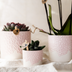 Hummingbird Home Pink Flowerpot - Ø12cm: Romance & Elegance for Your Home Bild 3