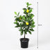 Künstlicher Zitronenbaum 65 cm - Pflegeleicht & Dekorativ Bild 2