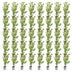 Green boutiQ - 40x Ligustrum ovalifolium - Gewöhnlicher Liguster - Heckenpflanzen - Immergrün - Grün - Topf 9cm - Höhe 35-45cm Bild 3