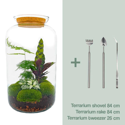 Flaschengarten Botanischer Sven XL DIY-Set mit Werkzeug (43 cm)