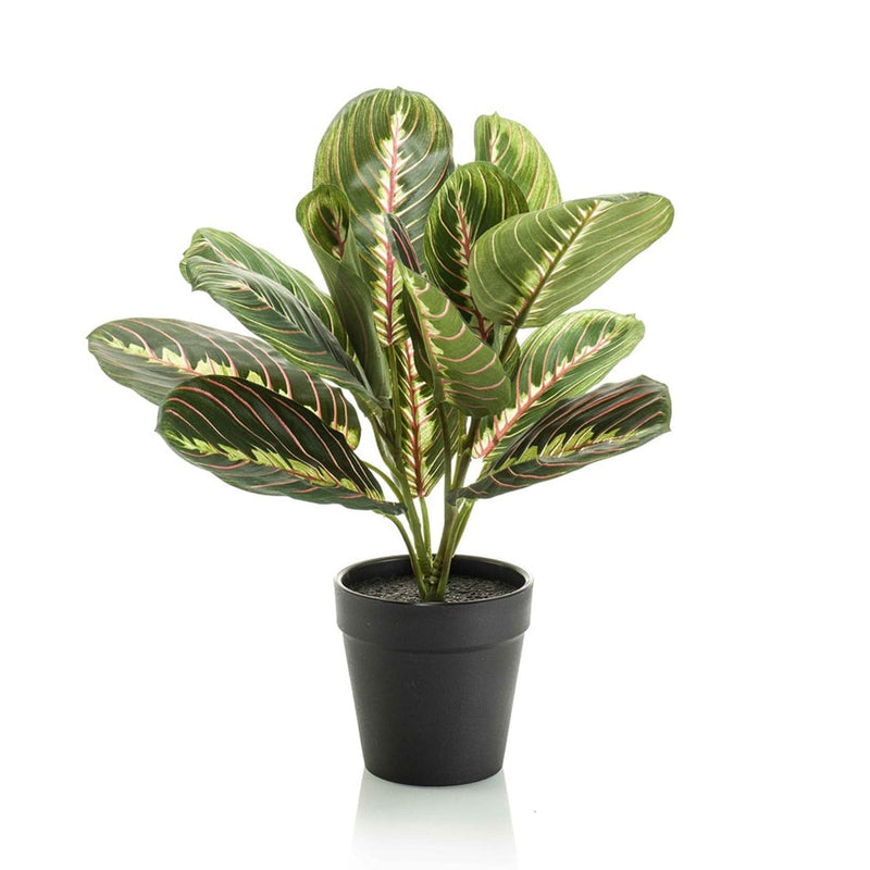 Maranta Kunstpflanze 30cm im schwarzen Topf