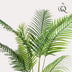 Künstliche Howea Forsteriana Palme 160 cm – Indoor-Paradies Bild 4