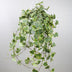 Hedera Helix Gold Child Hängeampel XXL, Ø24cm, ca. 60cm hoch Bild 3