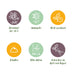 GreenboutiQ Leylandii Hedging Plants: 8 Plants for 1m of Hedge Bild 4