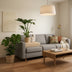 Tropenpflanzen Set: Strelitzia Nicolai & Monstera mit Korb Bild 5