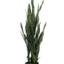 Artificial plant Sansevieria Black Coral, 97 cm - Mother-in-law's tongue Bild 1
