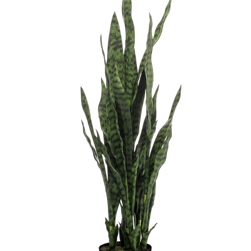Artificial plant Sansevieria Black Coral, 97 cm - Mother-in-law's tongue