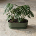 Elho Topf Greenville Easy Balkon D25cm - Blattgrün, Integrierter Wasserspeicher Bild 6