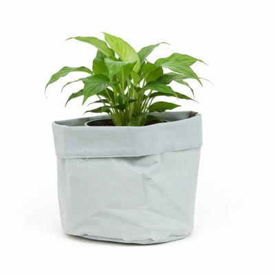 Plant Bag Old Blue - D15: Robust & Flexible for Healthy Plant Growth