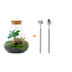 Flaschengarten 'Sammie Coffea' - DIY Mini-Biotop mit Pflanzen, 26cm Bild 1