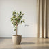 Artificial Olive Tree in Pot, 65 cm – Mediterranean Charm Bild 2