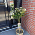 GreenboutiQ: Viburnum tinus Stamm-Pflanze, Immergrün, Weiße/Rosa Blüte Bild 7