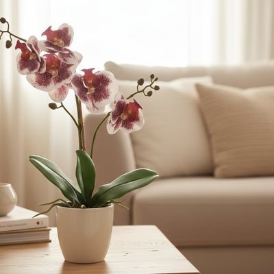 Künstliche Orchidee Phalaenopsis Violett/Weiß, 41cm