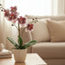 Artificial Orchid Phalaenopsis Violet/White, 41cm Bild 2