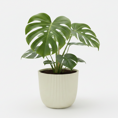 Blumen -und Pflanzentopf - Capi Pot Bol Skin Beige - D25cm