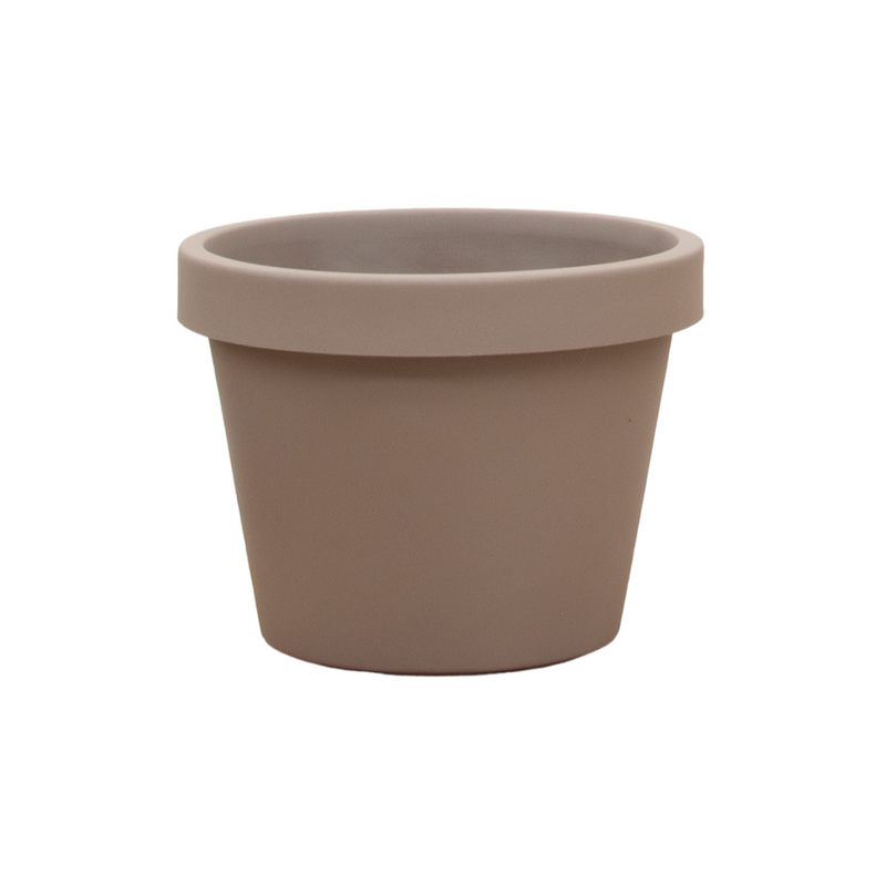 Topf Lira Tortora: Elegante Zimmerpflanze, Ø65 x H58 cm