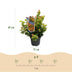 Leucothoe Curly Gold - Evergreen Shrub, Yellow, 17cm Pot Bild 3