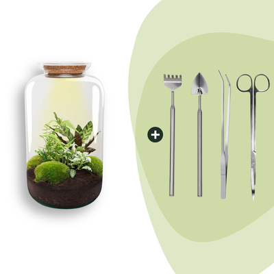 Bottle Garden Botanical Sven XL DIY Kit with Tools (43 cm)
