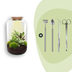 Flaschengarten Botanischer Sven XL DIY-Set mit Werkzeug (43 cm) Bild 1