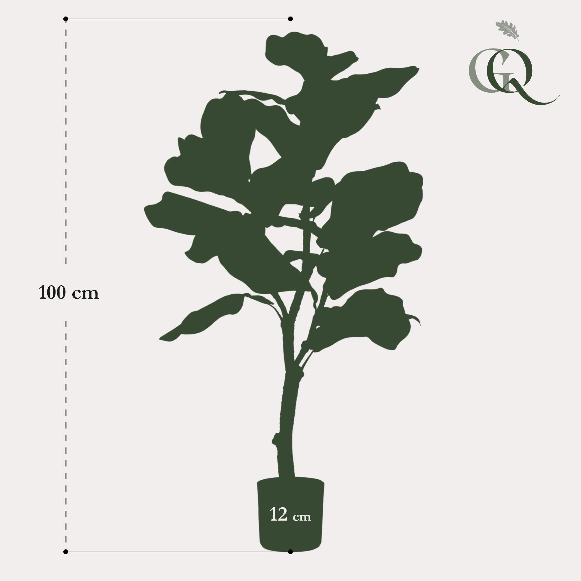 Kunstpflanze - Ficus Lyrata - Tabakspflanze - 90 cm